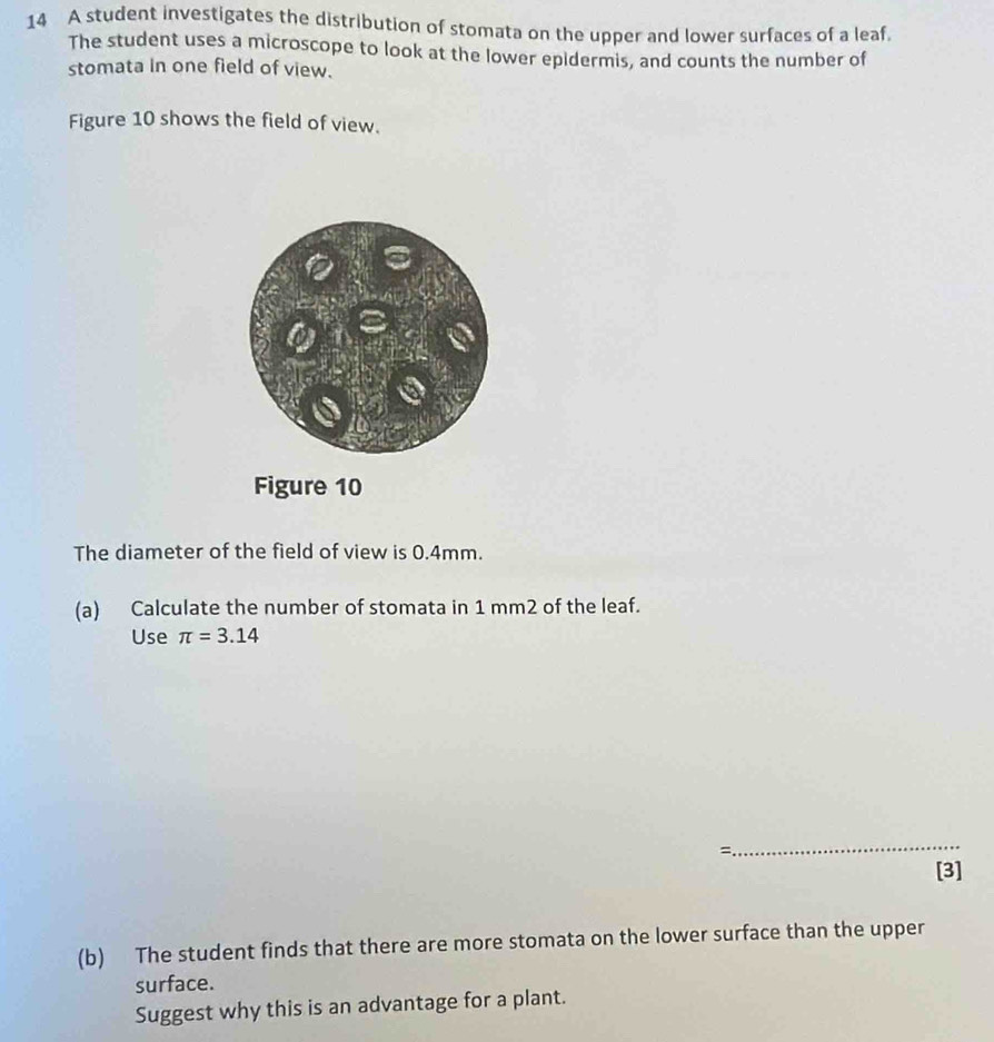 A student investigates the distribution of stomata on the upper and lower surfaces of a leaf. 
The student uses a microscope to look at the lower epidermis, and counts the number of 
stomata in one field of view. 
Figure 10 shows the field of view. 
Figure 10 
The diameter of the field of view is 0.4mm. 
(a) Calculate the number of stomata in 1 mm2 of the leaf. 
Use π =3.14
_ 
= 
[3] 
(b) The student finds that there are more stomata on the lower surface than the upper 
surface. 
Suggest why this is an advantage for a plant.