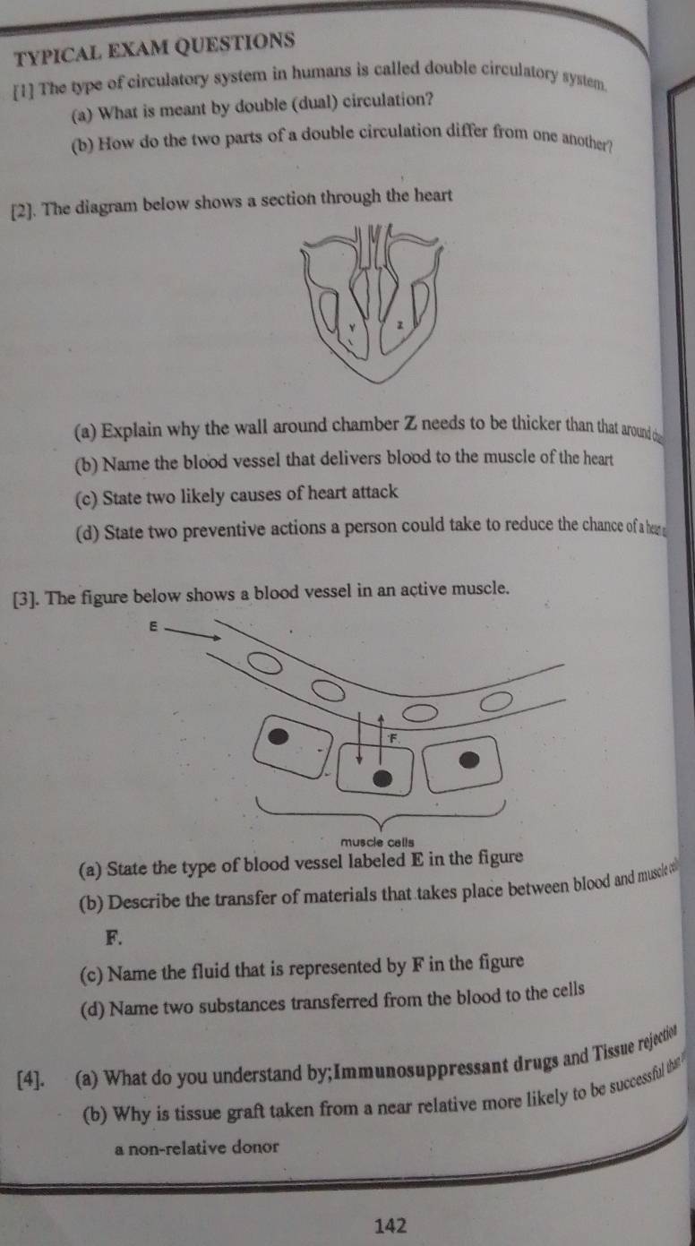 TYPICAL EXAM QUESTIONS 
[1] The type of circulatory system in humans is called double circulatory system. 
(a) What is meant by double (dual) circulation? 
(b) How do the two parts of a double circulation differ from one another? 
[2]. The diagram below shows a section through the heart 
(a) Explain why the wall around chamber Z needs to be thicker than that around d 
(b) Name the blood vessel that delivers blood to the muscle of the heart 
(c) State two likely causes of heart attack 
(d) State two preventive actions a person could take to reduce the chance of a hea 
[3]. The figure below shows a blood vessel in an active muscle. 
(a) State the type of blood vessel labeled E in the figure 
(b) Describe the transfer of materials that takes place between blood and musci 
F. 
(c) Name the fluid that is represented by F in the figure 
(d) Name two substances transferred from the blood to the cells 
[4]. (a) What do you understand by;Immunosuppressant drugs and Tissue rejectiot 
(b) Why is tissue graft taken from a near relative more likely to be successful that? 
a non-relative donor 
142