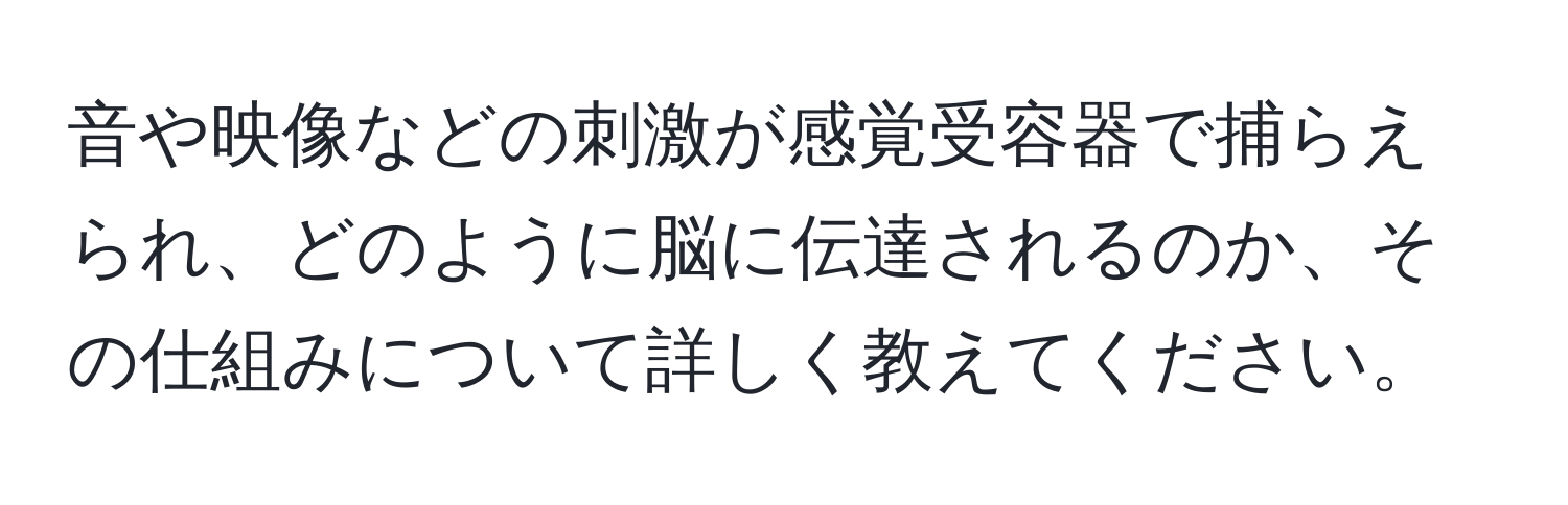 音や映像などの刺激が感覚受容器で捕らえられ、どのように脳に伝達されるのか、その仕組みについて詳しく教えてください。