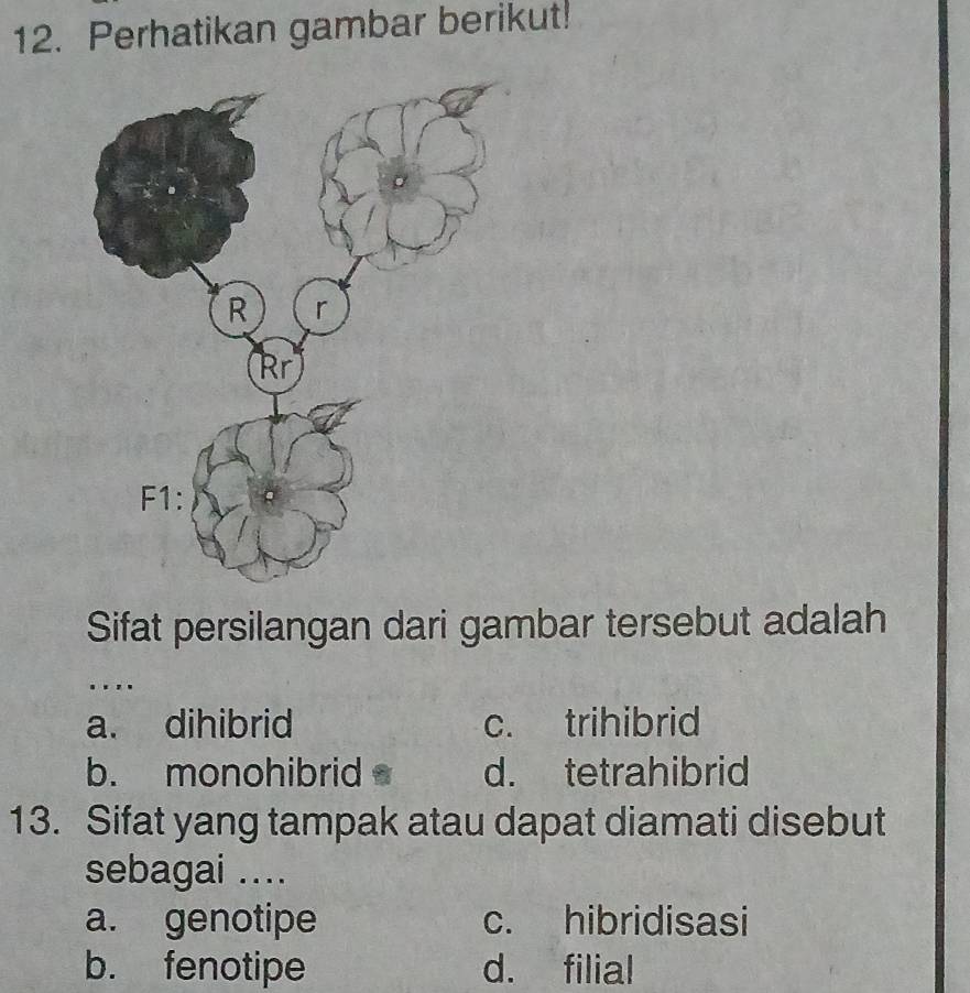 Perhatikan gambar berikut!
Sifat persilangan dari gambar tersebut adalah
...
a. dihibrid c. trihibrid
b. monohibrid d. tetrahibrid
13. Sifat yang tampak atau dapat diamati disebut
sebagai ....
a. genotipe c. hibridisasi
b. fenotipe d. filial