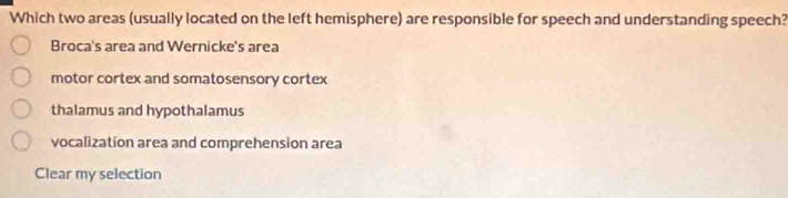 Which two areas (usually located on the left hemisphere) are responsible for speech and understanding speech?
Broca's area and Wernicke's area
motor cortex and somatosensory cortex
thalamus and hypothalamus
vocalization area and comprehension area
Clear my selection