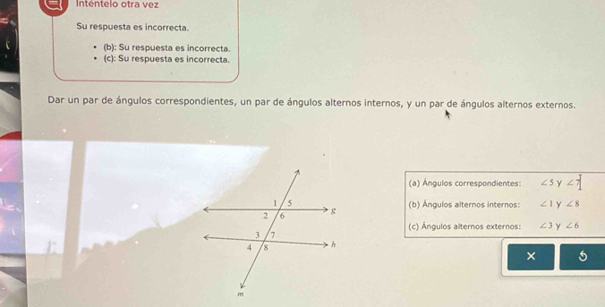 Inténtelo otra vez
Su respuesta es incorrecta.
(b): Su respuesta es incorrecta.
(c): Su respuesta es incorrecta.
Dar un par de ángulos correspondientes, un par de ángulos alternos internos, y un par de ángulos alternos externos.
(a) Ángulos correspondientes: ∠ 5 y ∠ 7
(b) Ángulos alternos internos: ∠ 1 y ∠ 8
(c) Ángulos alternos externos: ∠ 3 y ∠ 6
×