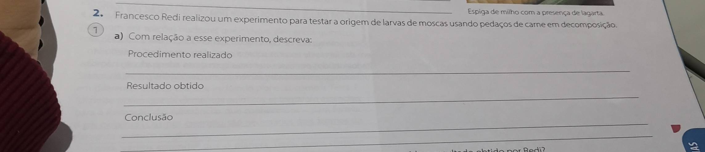 Espiga de milho com a presença de lagarta. 
2. Francesco Redi realizou um experimento para testar a origem de larvas de moscas usando pedaços de carne em decomposição. 
1 
a) Com relação a esse experimento, descreva: 
Procedimento realizado 
_ 
Resultado obtido 
_ 
_ 
Conclusão 
_