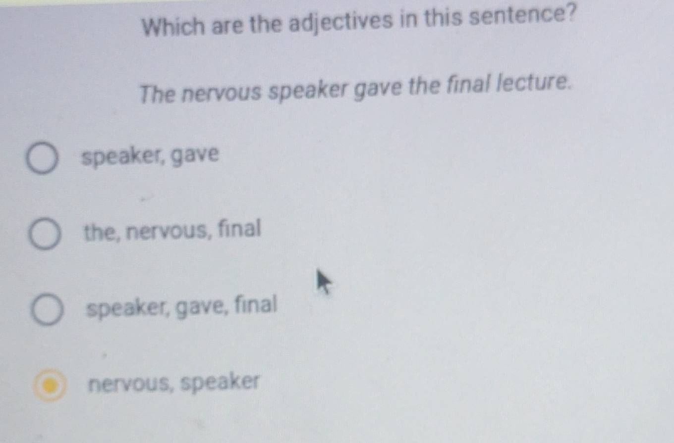 Which are the adjectives in this sentence?
The nervous speaker gave the final lecture.
speaker, gave
the, nervous, final
speaker, gave, final
nervous, speaker