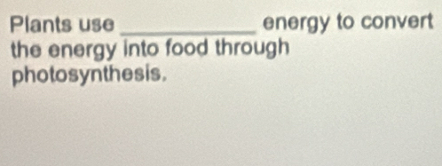 Plants use _energy to convert 
the energy into food through 
photosyn thesis.