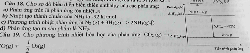 Ou fü là 57 1,08 k 
Câu 18. Cho sơ đồ biểu diễn biến thiên enthalpy của các phản ứng: Enthalpy, kJ 
a) Phản ứng trên là phản ứng tỏa nhiệt.£ 
b) Nhiệt tạo thành chuẩn của NH₃ là -92 kJ/mol
,H_(294)°(cd) N_2(g)+3H_2(g)
c) Phương trình nhiệt phản ứng là N_2(g)+3H_2(g)to 2NH_3(g)oplus
d) Phản ứng tạo ra sản phầm là NH_3.
△ ,H_(200)°=-92kJ
Câu 19. Cho phương trình nhiệt hóa học của phản ứng: CO_2(g)to _△ _1H_2!= 8(sp) 2NHsqrt(g))
O(g)+ 1/2 O_2(g) Tiền trình phản ứng