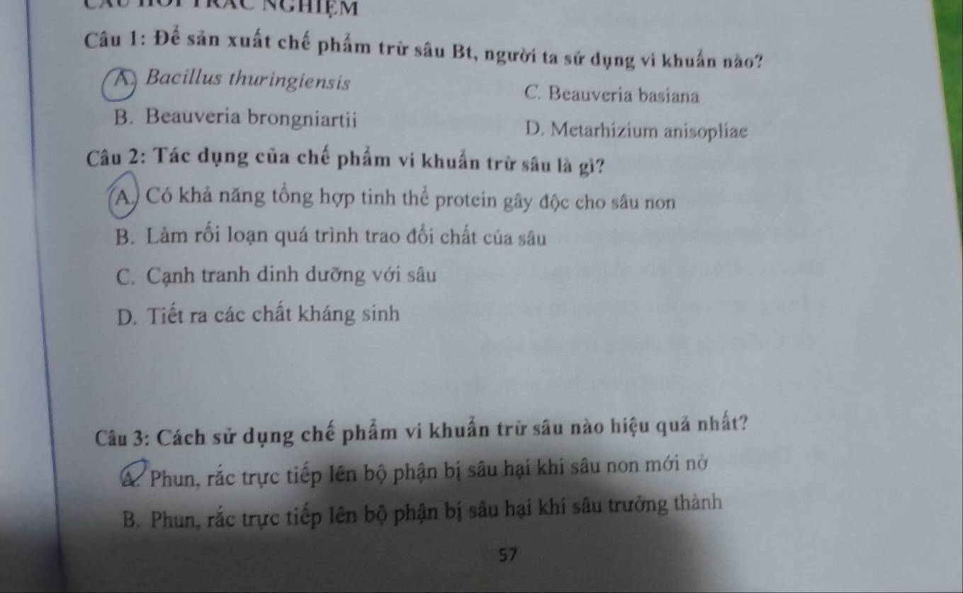 Để sản xuất chế phẩm trừ sâu Bt, người ta sử dụng vi khuẩn nào?
A Bacillus thuringiensis C. Beauveria basiana
B. Beauveria brongniartii D. Metarhizium anisopliae
Câu 2: Tác dụng của chế phẩm vi khuẩn trừ sâu là gì?
A) Có khả năng tổng hợp tinh thể protein gây độc cho sâu non
B. Làm rối loạn quá trình trao đổi chất của sâu
C. Cạnh tranh dinh dưỡng với sâu
D. Tiết ra các chất kháng sinh
Câu 3: Cách sử dụng chế phẩm vi khuẩn trữ sâu nào hiệu quả nhất?
Á Phun, rắc trực tiếp lên bộ phận bị sâu hại khi sâu non mới nở
B. Phun, rắc trực tiếp lên bộ phận bị sâu hại khí sâu trưởng thành
57