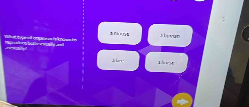 a mouse a human
What type of organism is known to
reproduce both sexually and
ascruallly?
a bee a horse