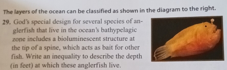 The layers of the ocean can be classified as shown in the diagram to the right. 
29. God's special design for several species of an- 
glerfish that live in the ocean's bathypelagic 
zone includes a bioluminescent structure at 
the tip of a spine, which acts as bait for other 
fish. Write an inequality to describe the depth 
(in feet) at which these anglerfish live.