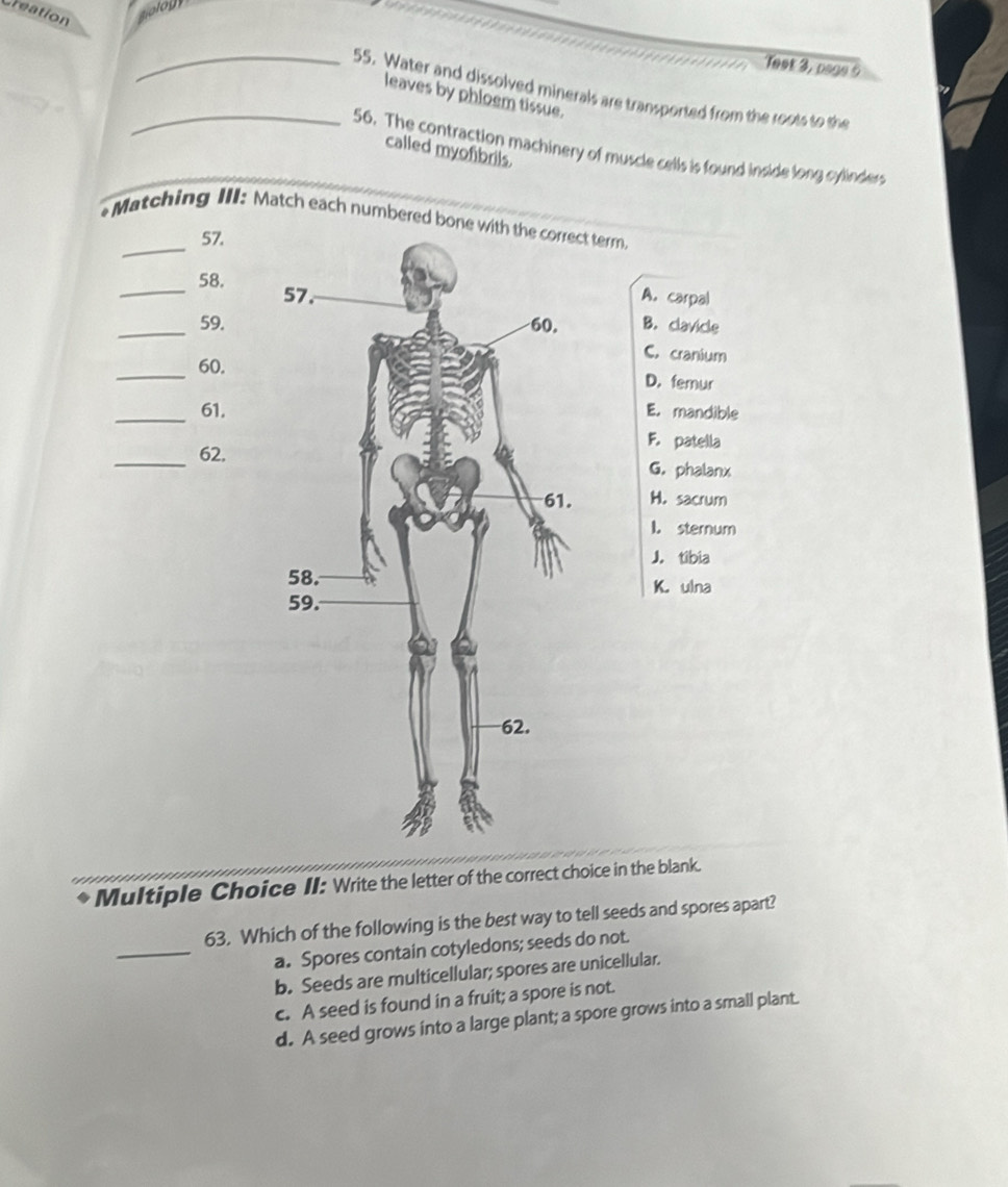 Creation
Teet 3, page 9
_55. Water and dissolved minerals are transported from the roots to the
leaves by phloem tissue.
_56. The contraction machinery of muscle cells is found inside long cylinders
called myofibrils.
_
*Matching III: Match each numbered bone with the correct term.
57.
_58.
A. carpal
_59. B. clavicle
C. cranium
_60.D. femur
_61.E. mandible
F. patella
_62.G. phalanx
H. sacrum
1. sternum
J. tibia
K. ulna
Multiple Choice II: Write the letter of the correct choice in the blank.
_
63. Which of the following is the best way to tell seeds and spores apart?
a. Spores contain cotyledons; seeds do not.
b. Seeds are multicellular; spores are unicellular.
c. A seed is found in a fruit; a spore is not.
d. A seed grows into a large plant; a spore grows into a small plant.