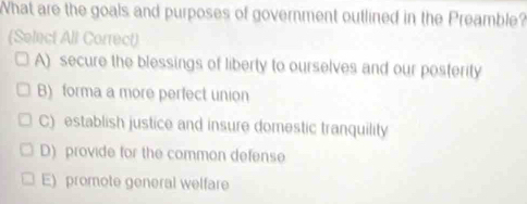 What are the goals and purposes of government outlined in the Preamble?
(Select All Correct)
A) secure the blessings of liberty to ourselves and our posterity
B) forma a more perfect union
C) establish justice and insure domestic tranquility
D) provide for the common defense
E) promote general welfare