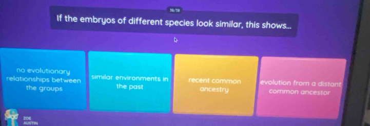 30/38
If the embryos of different species look similar, this shows...
no evolutionary
relationships between similar environments in recent common evolution from a distant
the groups the past ancestry common ancestor
ZOE
AUSTIN