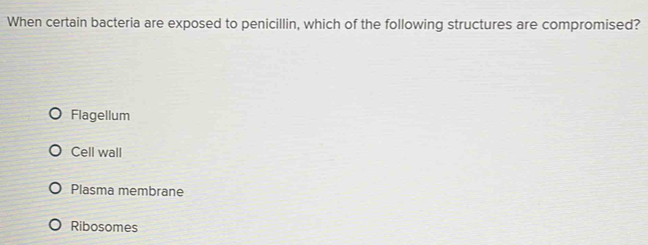 Solved: When certain bacteria are exposed to penicillin, which of the ...