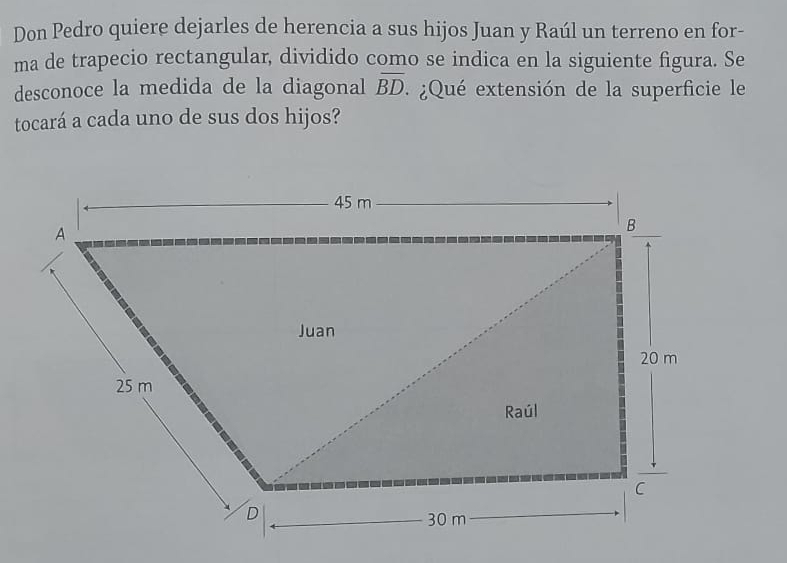 Don Pedro quiere dejarles de herencia a sus hijos Juan y Raúl un terreno en for- 
ma de trapecio rectangular, dividido como se indica en la siguiente figura. Se 
desconoce la medida de la diagonal overline BD * ¿Qué extensión de la superficie le 
tocará a cada uno de sus dos hijos?