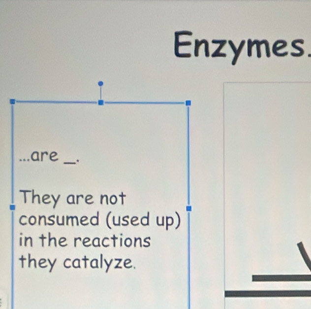 Enzymes.