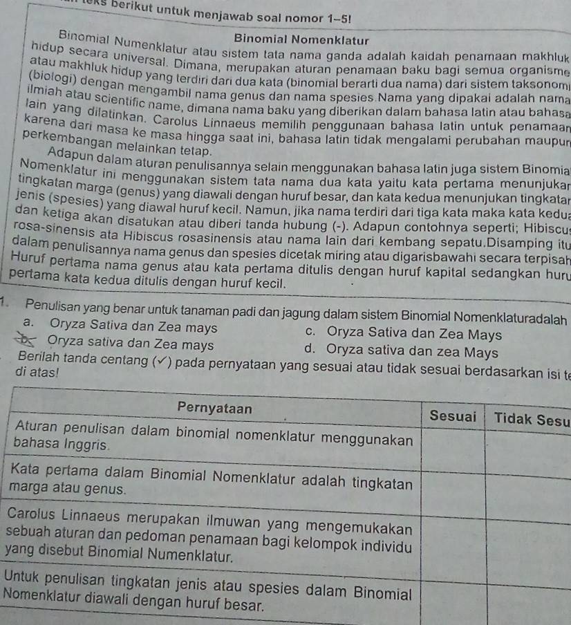 KS berikut untuk menjawab soal nomor 1-5!
Binomial Nomenklatur
Binomial Numenklatur atau sistem tata nama ganda adalah kaidah penamaan makhluk
hidup secara universal. Dimana, merupakan aturan penamaan baku bagi semua organisme
atau makhluk hidup yang terdiri dari dua kata (binomial berarti dua nama) dari sistem taksonom
(biologi) dengan mengambil nama genus dan nama spesies Nama yang dipakai adalah nama
ilmiah atau scientific name, dimana nama baku yang diberikan dalam bahasa latin atau bahasa
lain yang dilatinkan. Carolus Linnaeus memilih penggunaan bahasa latin untuk penamaar
karena dari masa ke masa hingga saat ini, bahasa latin tidak mengalami perubahan maupur
perkembangan melainkan tetap.
Adapun dalam aturan penulisannya selain menggunakan bahasa latin juga sistem Binomia
Nomenklatur ini menggunakan sistem tata nama dua kata yaitu kata pertama menunjukar
tingkatan marga (genus) yang diawali dengan huruf besar, dan kata kedua menunjukan tingkatar
jenis (spesies) yang diawal huruf kecil. Namun, jika nama terdiri dari tiga kata maka kata kedu
dan ketiga akan disatukan atau diberi tanda hubung (-). Adapun contohnya seperti; Hibiscu
rosa-sinensis ata Hibiscus rosasinensis atau nama lain dari kembang sepatu.Disamping itu
dalam penulisannya nama genus dan spesies dicetak miring atau digarisbawahi secara terpisah
Huruf pertama nama genus atau kata pertama ditulis dengan huruf kapital sedangkan huru
pertama kata kedua ditulis dengan huruf kecil.
1. Penulisan yang benar untuk tanaman padi dan jagung dalam sistem Binomial Nomenklaturadalah
a. Oryza Sativa dan Zea mays c. Oryza Sativa dan Zea Mays
b Oryza sativa dan Zea mays d. Oryza sativa dan zea Mays
Berilah tanda centang (✓) pada pernyataan yang sesuai atau tidak sesuai berdasarkan isi te
di atas!
su
s
y
U
N