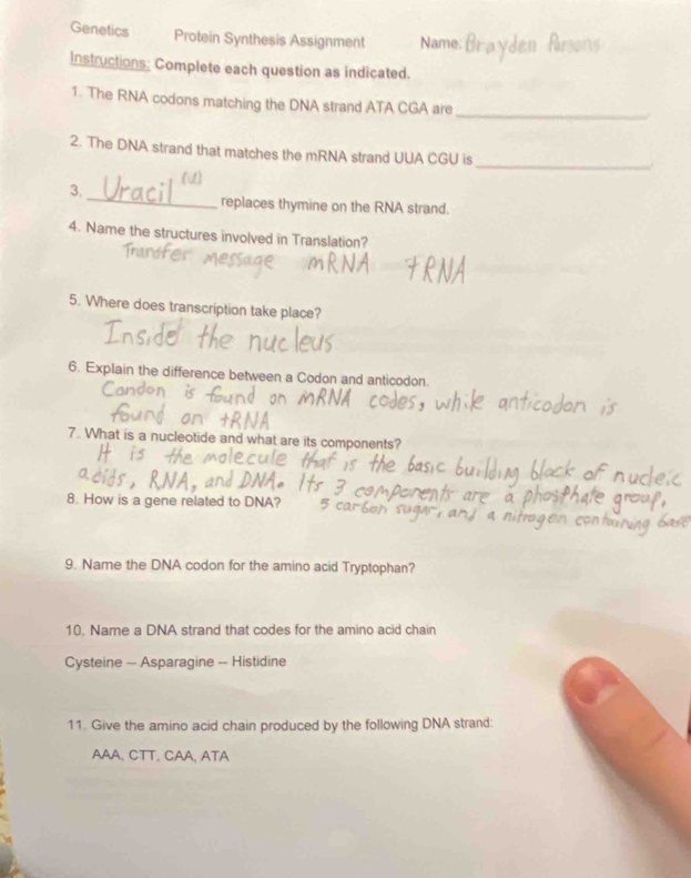 Genetics Protein Synthesis Assignment Name: 
Instructions; Complete each question as indicated. 
1. The RNA codons matching the DNA strand ATA CGA are_ 
_ 
2. The DNA strand that matches the mRNA strand UUA CGU is 
a 
_ 
3. 
replaces thymine on the RNA strand. 
4. Name the structures involved in Translation? 
5. Where does transcription take place? 
6. Explain the difference between a Codon and anticodon. 
7. What is a nucleotide and what are its components? 
8. How is a gene related to DNA? 
9. Name the DNA codon for the amino acid Tryptophan? 
10. Name a DNA strand that codes for the amino acid chain 
Cysteine -- Asparagine -- Histidine 
11. Give the amino acid chain produced by the following DNA strand: 
AAA, CTT. CAA, ATA