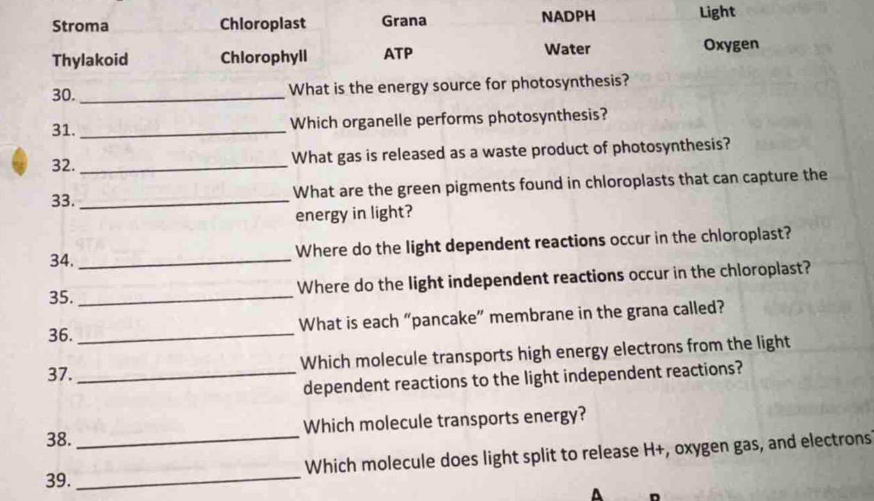 Stroma Chioroplast Grana NADPH Light
Water
Thylakoid Chlorophyll ATP Oxygen
30. _What is the energy source for photosynthesis?
31. _Which organelle performs photosynthesis?
32. _What gas is released as a waste product of photosynthesis?
33. _What are the green pigments found in chloroplasts that can capture the
energy in light?
34._ Where do the light dependent reactions occur in the chloroplast?
35._ Where do the light independent reactions occur in the chloroplast?
36. _What is each “pancake” membrane in the grana called?
37. _Which molecule transports high energy electrons from the light
dependent reactions to the light independent reactions?
Which molecule transports energy?
38.
39. __Which molecule does light split to release H+, oxygen gas, and electrons
A