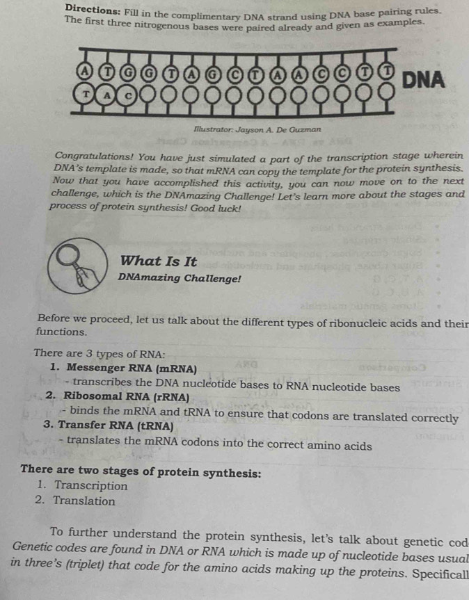 Directions: Fill in the complimentary DNA strand using DNA base pairing rules. 
The first three nitrogenous bases were paired already and given as examples. 
Illustrator: Jayson A. De Guzman 
Congratulations! You have just simulated a part of the transcription stage wherein 
DNA’s template is made, so that mRNA can copy the template for the protein synthesis. 
Now that you have accomplished this activity, you can now move on to the next 
challenge, which is the DNAmazing Challenge! Let's learn more about the stages and 
process of protein synthesis! Good luck! 
What Is It 
DNAmazing Challenge! 
Before we proceed, let us talk about the different types of ribonucleic acids and their 
functions. 
There are 3 types of RNA: 
1. Messenger RNA (mRNA) 
- transcribes the DNA nucleotide bases to RNA nucleotide bases 
2. Ribosomal RNA (rRNA) 
- binds the mRNA and tRNA to ensure that codons are translated correctly 
3. Transfer RNA (tRNA) 
- translates the mRNA codons into the correct amino acids 
There are two stages of protein synthesis: 
1. Transcription 
2. Translation 
To further understand the protein synthesis, let's talk about genetic cod 
Genetic codes are found in DNA or RNA which is made up of nucleotide bases usual 
in three’s (triplet) that code for the amino acids making up the proteins. Specifical