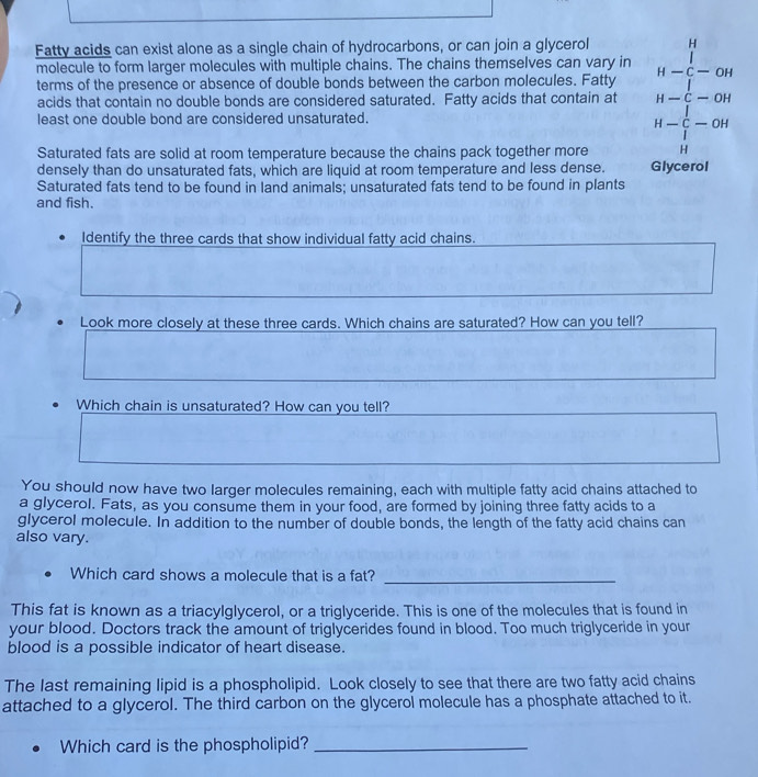 Fatty acids can exist alone as a single chain of hydrocarbons, or can join a glycerol H 
molecule to form larger molecules with multiple chains. The chains themselves can vary in H-dot C-OH
terms of the presence or absence of double bonds between the carbon molecules. Fatty 
acids that contain no double bonds are considered saturated. Fatty acids that contain at H-C-OH
least one double bond are considered unsaturated.
H-C-OH
Saturated fats are solid at room temperature because the chains pack together more H 
densely than do unsaturated fats, which are liquid at room temperature and less dense. Glycerol 
Saturated fats tend to be found in land animals; unsaturated fats tend to be found in plants 
and fish. 
Identify the three cards that show individual fatty acid chains. 
Look more closely at these three cards. Which chains are saturated? How can you tell? 
Which chain is unsaturated? How can you tell? 
You should now have two larger molecules remaining, each with multiple fatty acid chains attached to 
a glycerol. Fats, as you consume them in your food, are formed by joining three fatty acids to a 
glycerol molecule. In addition to the number of double bonds, the length of the fatty acid chains can 
also vary. 
Which card shows a molecule that is a fat?_ 
This fat is known as a triacylglycerol, or a triglyceride. This is one of the molecules that is found in 
your blood. Doctors track the amount of triglycerides found in blood. Too much triglyceride in your 
blood is a possible indicator of heart disease. 
The last remaining lipid is a phospholipid. Look closely to see that there are two fatty acid chains 
attached to a glycerol. The third carbon on the glycerol molecule has a phosphate attached to it. 
Which card is the phospholipid?_