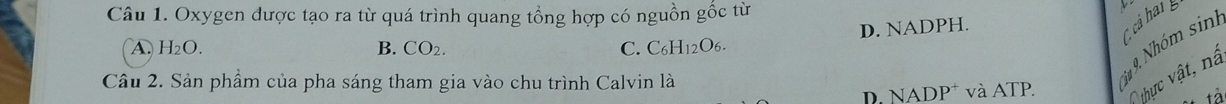 Oxygen được tạo ra từ quá trình quang tổng hợp có nguồn gốc từ

D. NADPH.
C cả han g
A. H_2O. B. CO_2. C. C_6H_12O_6. 
Câu 2. Sản phẩm của pha sáng tham gia vào chu trình Calvin là
D. NADP* và ATP.
1u 9. Nhóm sin
thực vật, nâ
tà