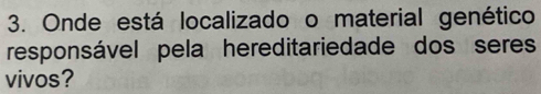 Onde está localizado o material genético 
responsável pela hereditariedade dos seres 
vivos?