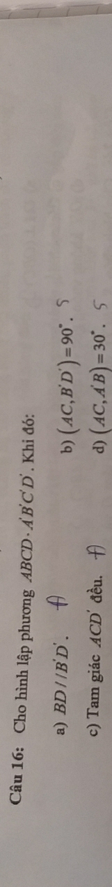 Cho hình lập phương ABC D A'B'C'D'. Khi đó:
a) BD//B'D'.
b) (AC,B'D')=90°. 
c) Tam giác ACD´ đều. (AC,A'B)=30°. S
d)