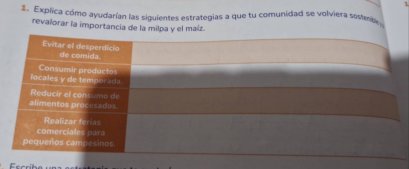 1 
1. Explica cómo ayudarían las siguientes estrategias a que tu comunidad se volviera sostenible 
revalorar la importancia de la milpa y el maíz.