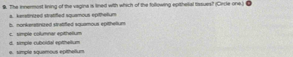 The innermost lining of the vagina is lined with which of the following epithelial tissues? (Circle one.)
a. keratinized stratified squamous epithelium
b. nonkeratinized stratified squamous epithelium
c. simple columnar epithelium
d. simple cuboldal epithelium
e. simple squamous epithelium