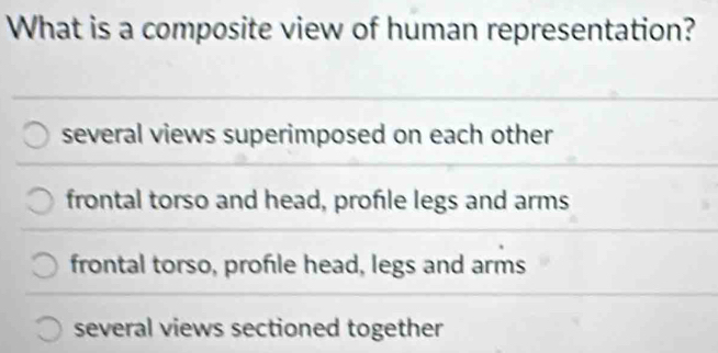 Solved: What is a composite view of human representation? several views ...