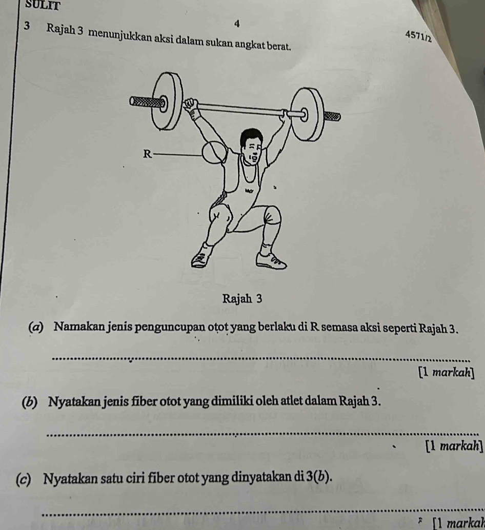 SULIT 
4 
4571 
3 Rajah 3 menunjukkan aksi dalam sukan angkat berat. 
(α) Namakan jenis penguncupan oțot yang berlaku di R semasa aksi seperti Rajah 3. 
_ 
[1 markah] 
(b) Nyatakan jenis fiber otot yang dimiliki oleh atlet dalam Rajah 3. 
_ 
[1 markah] 
(c) Nyatakan satu ciri fiber otot yang dinyatakan di 3 (b). 
_ 
[1 markah