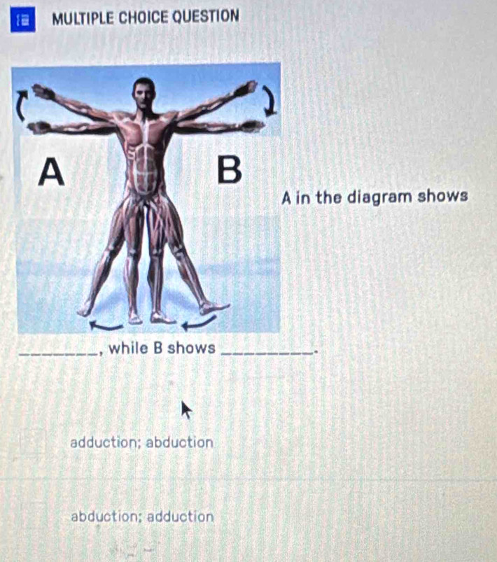 1- MULTIPLE CHOICE QUESTION
the diagram shows
_, while B shows_
.
adduction; abduction
abduction; adduction