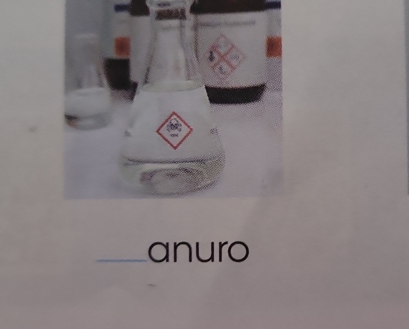 anuro