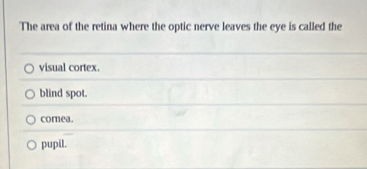 The area of the retina where the optic nerve leaves the eye is called the
visual cortex.
blind spot.
cornea.
pupil.