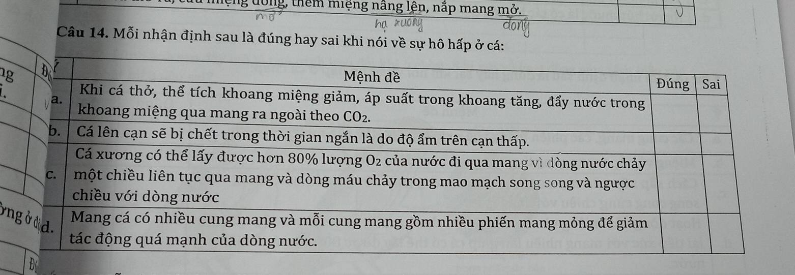 ng dông, thêm miệng nâng lện, nắp mang mở.
Câu 14. Mỗi nhận định sau là đúng hay sai khi nói về sự hô hấp ở cá:
1g
n
Đ