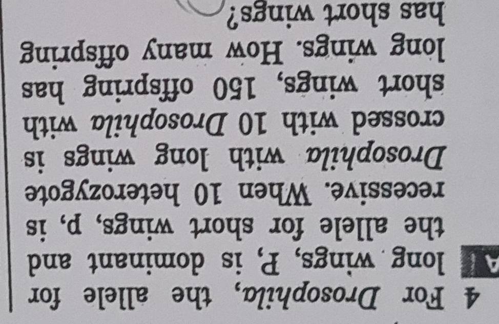 For Drosophila, the allele for 
long wings, P, is dominant and 
the allele for short wings, p, is 
recessive. When 10 heterozygote 
Drosophila with long wings is 
crossed with 10 Drosophila with 
short wings, 150 offspring has 
long wings. How many offspring 
has short wings?