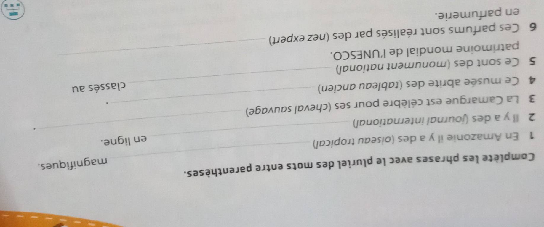 Complète les phrases avec le pluriel des mots entre parenthèses. 
magnifiques. 
_ 
_ 
1 En Amazonie il y a des (oiseau tropical) 
en ligne. 
2 ll y a des (journal international) 
3 La Camargue est célèbre pour ses (cheval sauvage) 
. 
4 Ce musée abrite des (tableau ancien) 
classés au 
5 Ce sont des (monument national) 
patrimoine mondial de l’UNESCO._ 
6 Ces parfums sont réalisés par des (nez expert) 
en parfumerie.