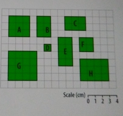 Scale (cm)
0 1 2 3 A