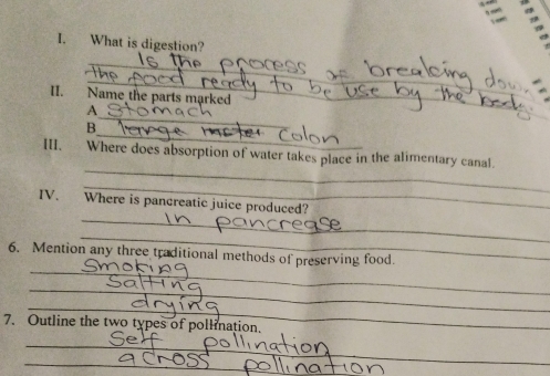 What is digestion? 
_ 
_ 
II. Name the parts marked 
_ 
_ 
A 
_ 
B 
_ 
III. Where does absorption of water takes place in the alimentary canal. 
_ 
_ 
IV. . Where is pancreatic juice produced? 
_ 
_ 
6. Mention any three traditional methods of preserving food. 
_ 
_ 
7. Outline the two types of pollination. 
_ 
_