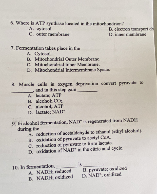 Where is ATP synthase located in the mitochondrion?
A. cytosol B. electron transport ch
C. outer membrane D. inner membrane
7. Fermentation takes place in the
A. Cytosol.
B. Mitochondrial Outer Membrane.
C. Mitochondrial Inner Membrane.
D. Mitochondrial Intermembrane Space.
8. Muscle cells in oxygen deprivation convert pyruvate to
_, and in this step gain _..
A. lactate; ATP
B. alcohol; CO_2
C. alcohol; ATP
D. lactate; NAD *
9. In alcohol fermentation, NAD* is regenerated from NADH
during the
A. reduction of acetaldehyde to ethanol (ethyl alcohol).
B. oxidation of pyruvate to acetyl CoA.
C. reduction of pyruvate to form lactate.
D. oxidation of NAD * in the citric acid cycle.
10. In fermentation, _is_ .
A. NADH; reduced B. pyruvate; oxidized
B. NADH; oxidized D. NAD⁺; oxidized