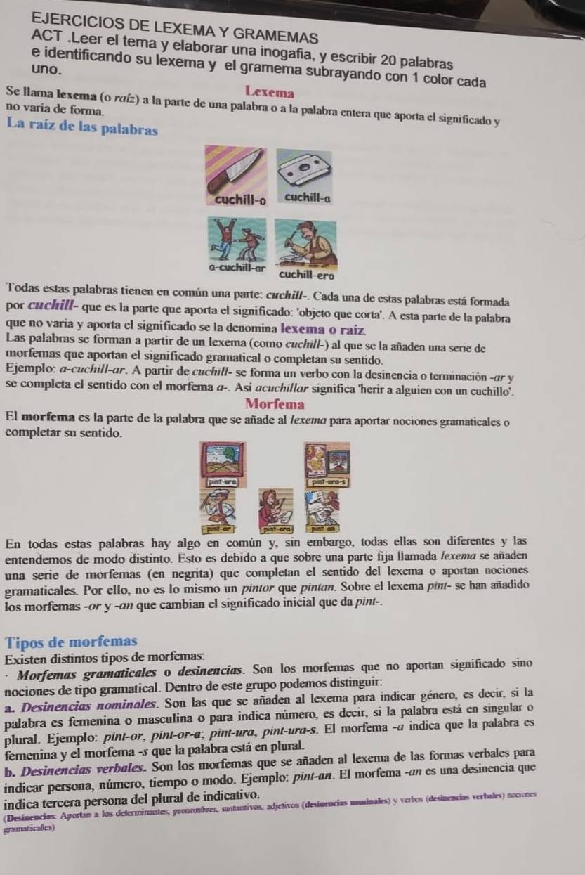 EJERCICIOS DE LEXEMA Y GRAMEMAS
ACT .Leer el tema y elaborar una inogafia, y escribir 20 palabras
e identificando su lexema y el gramema subrayando con 1 color cada
uno.
Lexema
Se llama lexema (o ráíz) a la parte de una palabra o a la palabra entera que aporta el significado y
no varia de forma.
La raíz de las palabras
Todas estas palabras tienen en común una parte: cuchill-. Cada una de estas palabras está formada
por cuchill- que es la parte que aporta el significado: 'objeto que corta'. A esta parte de la palabra
que no varía y aporta el significado se la denomina lexema o raíz
Las palabras se forman a partir de un lexema (como cuchill-) al que se la añaden una serie de
morfemas que aportan el significado gramatical o completan su sentido.
Ejemplo: α-cuchill-ar. A partir de cuchill- se forma un verbo con la desinencia o terminación -ar y
se completa el sentido con el morfema α-. Asi acuchillar significa 'herir a alguien con un cuchillo'.
Morfema
El morfema es la parte de la palabra que se añade al /exemá para aportar nociones gramaticales o
completar su sentido.
En todas estas palabras hay algo en común y, sin embargo, todas ellas son diferentes y las
entendemos de modo distinto. Esto es debido a que sobre una parte fija llamada /exemá se añaden
una serie de morfemas (en negrita) que completan el sentido del lexema o aportan nociones
gramaticales. Por ello, no es lo mismo un pintor que pintan. Sobre el lexema pint- se han añadido
los morfemas -or y -an que cambian el significado inicial que da pint-.
Tipos de morfemas
Existen distintos tipos de morfemas:
Morfemas gramaticales o desinencias. Son los morfemas que no aportan significado sino
nociones de tipo gramatical. Dentro de este grupo podemos distinguir:
a. Desinencias nominales. Son las que se añaden al lexema para indicar género, es decir, si la
palabra es femenina o masculina o para indica número, es decir, si la palabra está en singular o
plural. Ejemplo: pint-or, pint-or-α; pint-ura, pint-ura-s. El morfema -α indica que la palabra es
femenina y el morfema -s que la palabra está en plural.
b. Desinencias verbales. Son los morfemas que se añaden al lexema de las formas verbales para
indicar persona, número, tiempo o modo. Ejemplo: pint-an. El morfema -σn es una desinencia que
indica tercera persona del plural de indicativo.
(Desinencias: Aportan a los determinantes, pronombres, suntantivos, adjetivos (desinencias nominales) y verbos (desinencias verbales) nociones
gramaticales)