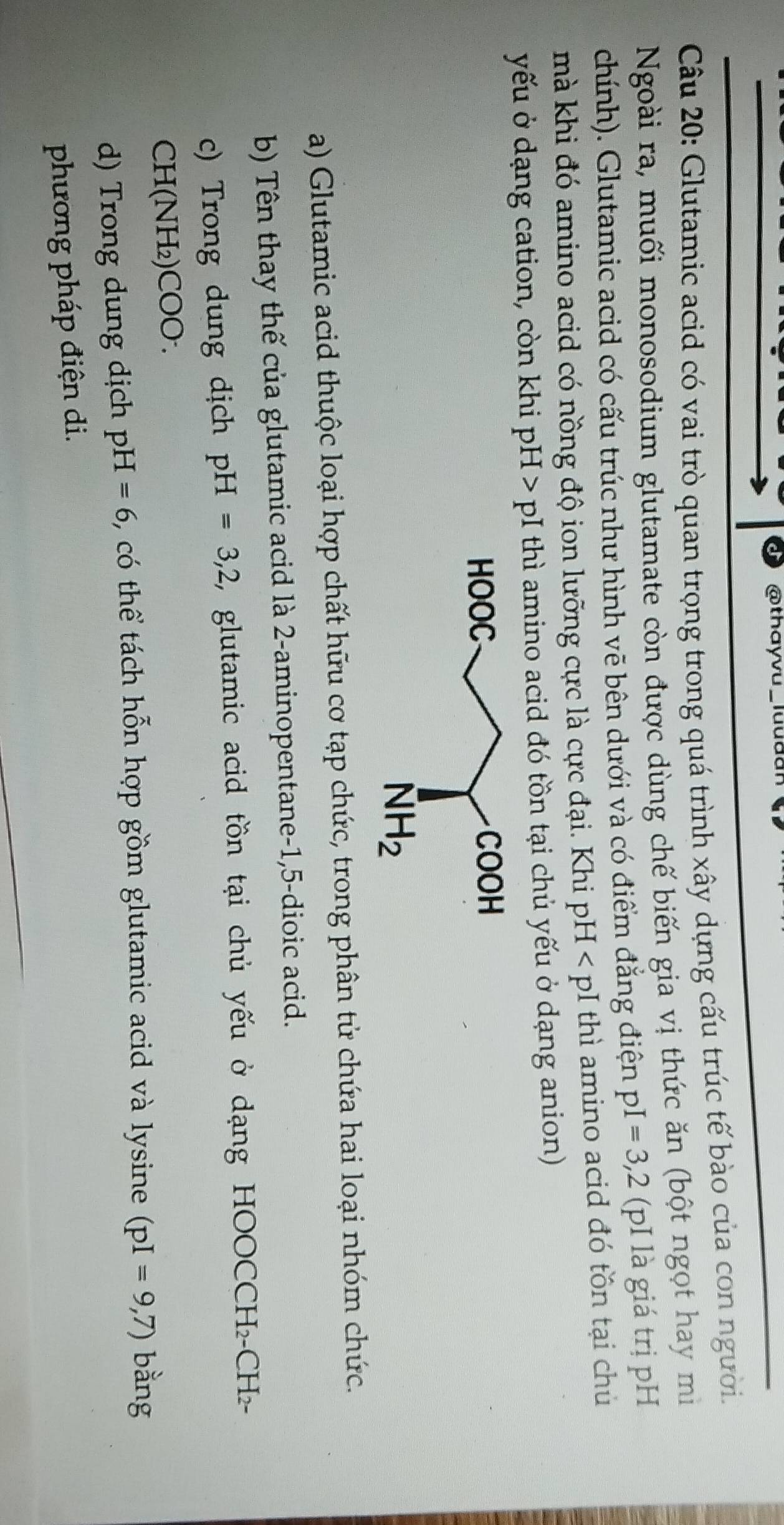 thayvu
Câu 20: Glutamic acid có vai trò quan trọng trong quá trình xây dựng cấu trúc tế bào của con người.
Ngoài ra, muối monosodium glutamate còn được dùng chế biến gia vị thức ăn (bột ngọt hay mi
chính). Glutamic acid có cấu trúc như hình vẽ bên dưới và có điểm đẳng điện pI=3,2 (pI là giá trị pH
mà khi đó amino acid có nồng độ ion lưỡng cực là cực đại. Khi pH thì amino acid đó tồn tại chủ
yếu ở dạng cation, còn khi pH > pI thì amino acid đó tồn tại chủ yếu ở dạng anion)
a) Glutamic acid thuộc loại hợp chất hữu cơ tạp chức, trong phân tử chứa hai loại nhóm chức.
b) Tên thay thế của glutamic acid là 2-aminopentane-1,5-dioic acid.
c) Trong dung dịch pH=3,2, , glutamic acid tồn tại chủ yếu ở dạng HOOCCH₂-CH-
CH(NH₂) COO
d) Trong dung dịch pH=6 , có thể tách hỗn hợp gồm glutamic acid và lysine (pI=9,7) bằng
phương pháp điện di.