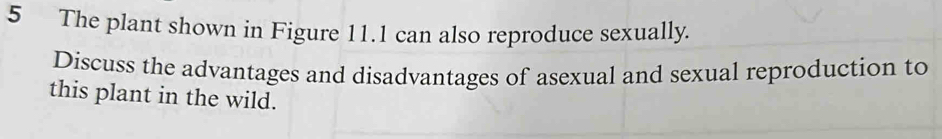 The plant shown in Figure 11.1 can also reproduce sexually. 
Discuss the advantages and disadvantages of asexual and sexual reproduction to 
this plant in the wild.