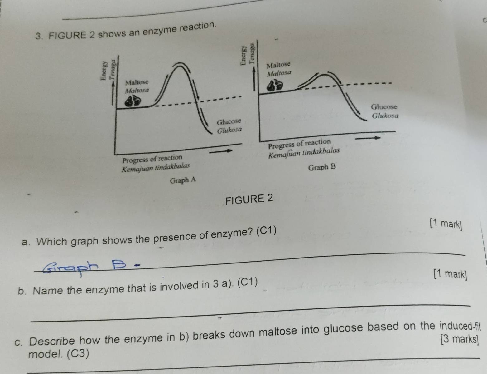 FIGURE 2 shows an enzyme reaction. 
Maltose 
Maltosa 
Gluco 
Gluko 
Progress of reaction 
Kemajuan tindakbalas 
Graph A 
FIGURE 2 
[1 mark] 
_ 
a. Which graph shows the presence of enzyme? (C1) 
[1 mark] 
b. Name the enzyme that is involved in 3 a). (C1) 
_ 
c. Describe how the enzyme in b) breaks down maltose into glucose based on the induced-fit 
[3 marks] 
_model. (C3)