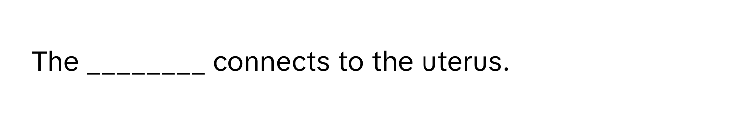 The ________ connects to the uterus.