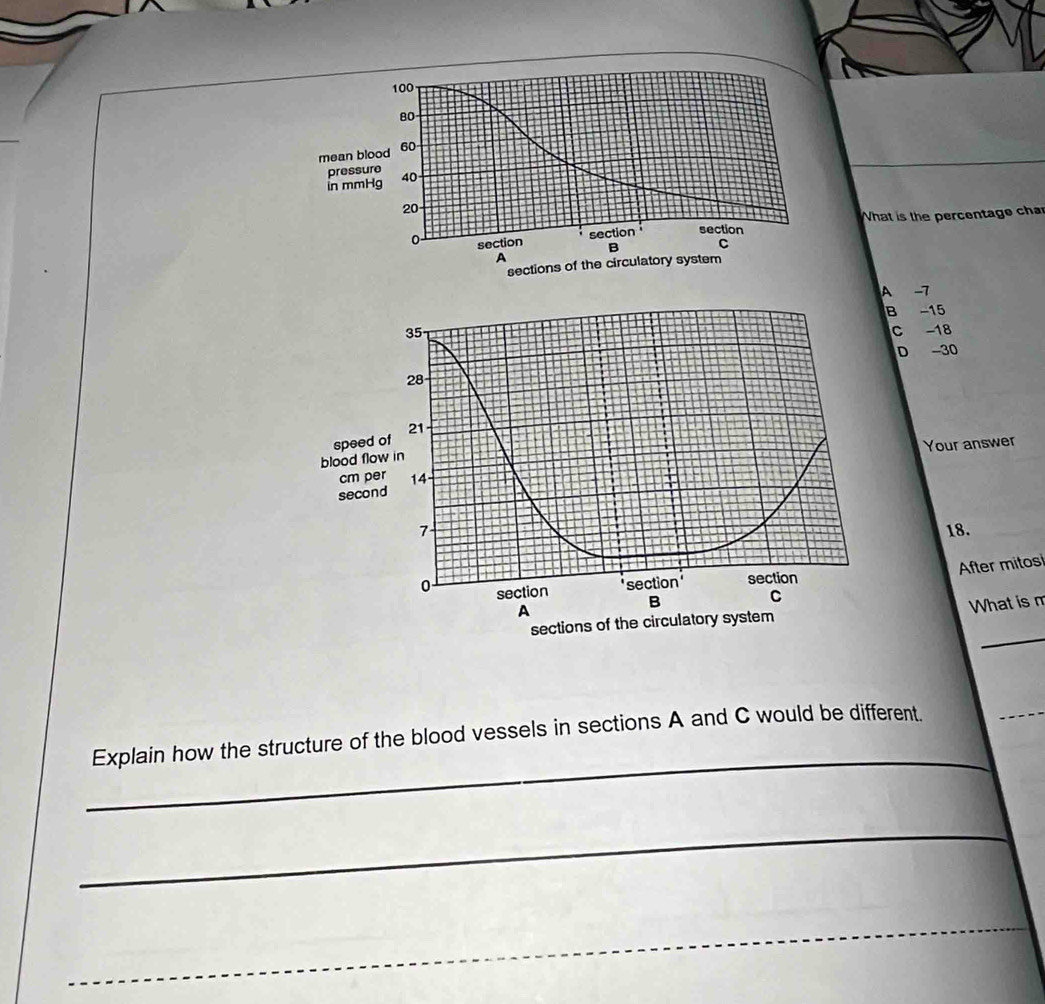 What is the percentage cha
A -7
B -15
35 - C -18
D -30
28
21
blood flow in speed of
Your answer
cm per 14.
second
7 18.
A After mitos
section ' section
0 section B
C
_
sections of the circulatory system What is m
_
Explain how the structure of the blood vessels in sections A and C would be different.
_
_
_