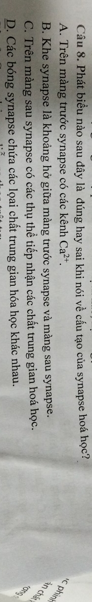 Phát biểu nào sau đây là đúng hay sai khi nói về cấu tạo của synapse hoá học?
A. Trên màng trước synapse có các kênh Ca^(2+). 
c phin
B. Khe synapse là khoảng hở giữa màng trước synapse và màng sau synapse.
ản chấ
C. Trên màng sau synapse có các thụ thể tiếp nhận các chất trung gian hoá học.
D. Các bóng synapse chứa các lọai chất trung gian hóa học khác nhau.