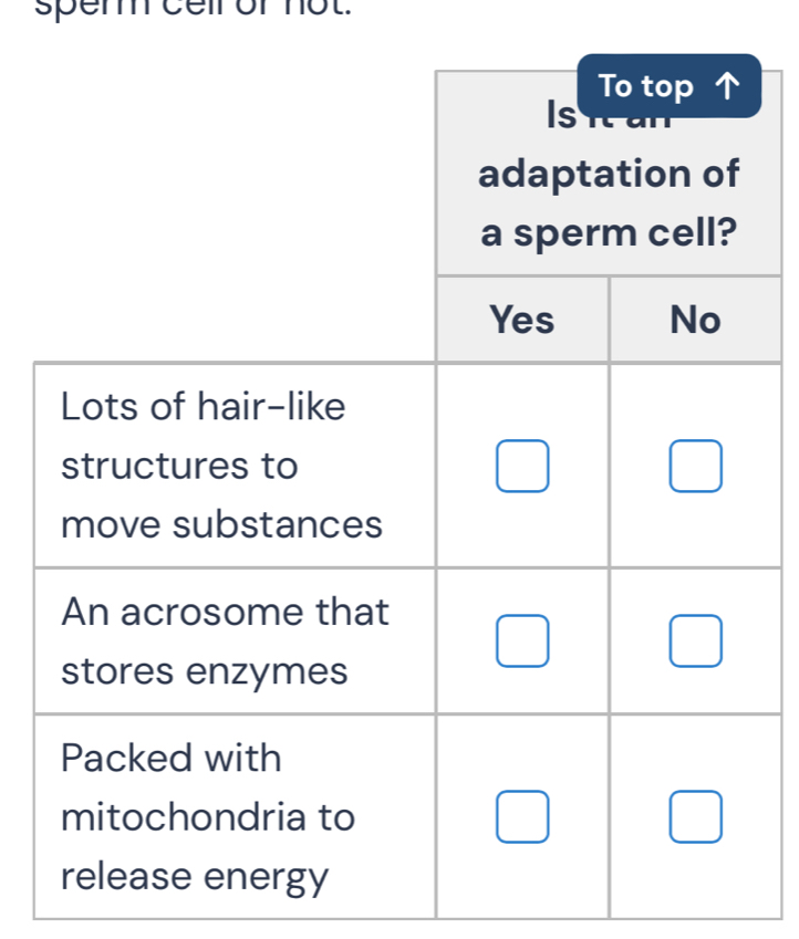 sper cell of not.