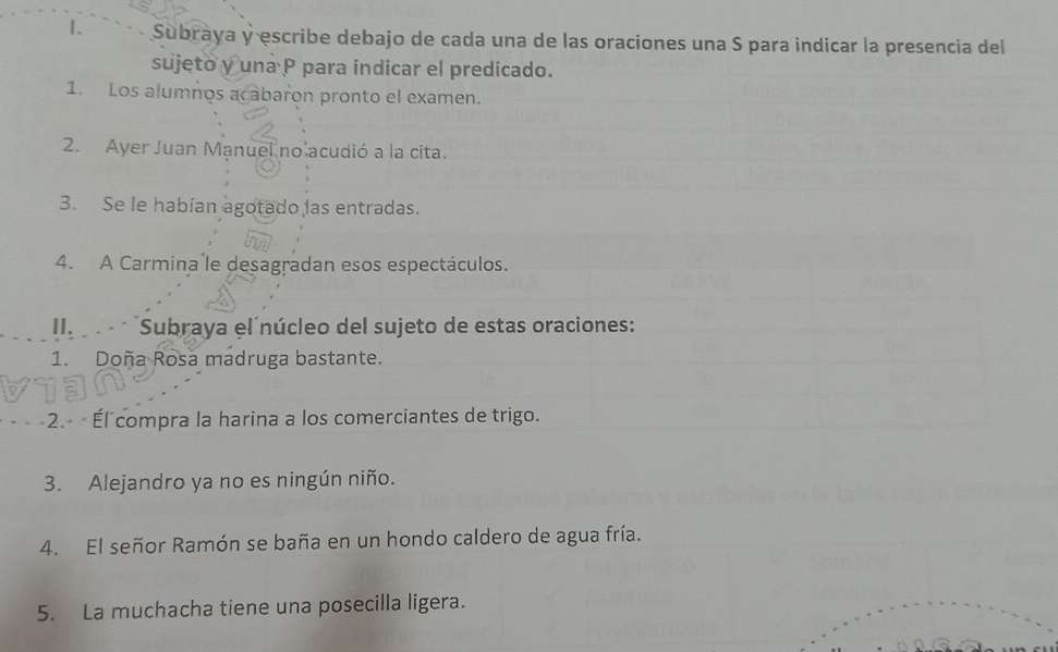 Subraya y escribe debajo de cada una de las oraciones una S para indicar la presencia del 
sujeto y una P para indicar el predicado. 
1. Los alumnos acabaron pronto el examen. 
2. Ayer Juan Manuel no acudió a la cita. 
3. Se le habían agotado las entradas. 
4. A Carmina le desagradan esos espectáculos. 
II. Subraya el núcleo del sujeto de estas oraciones: 
1. Doña Rosa madruga bastante. 
2. Él compra la harina a los comerciantes de trigo. 
3. Alejandro ya no es ningún niño. 
4. El señor Ramón se baña en un hondo caldero de agua fría. 
5. La muchacha tiene una posecilla ligera.