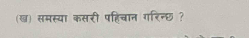 (ख) समस्या कसरी पहिचान गरिन्छ ?